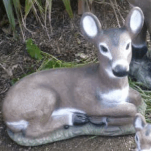 Resting Doe SM